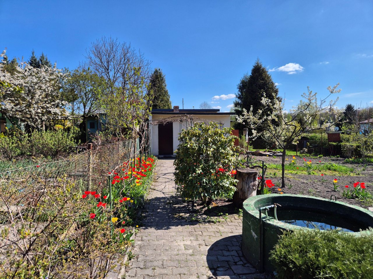 Działka rod Chorzów Batory, ul. Niedźwiedziniec. Zdjęcie 1