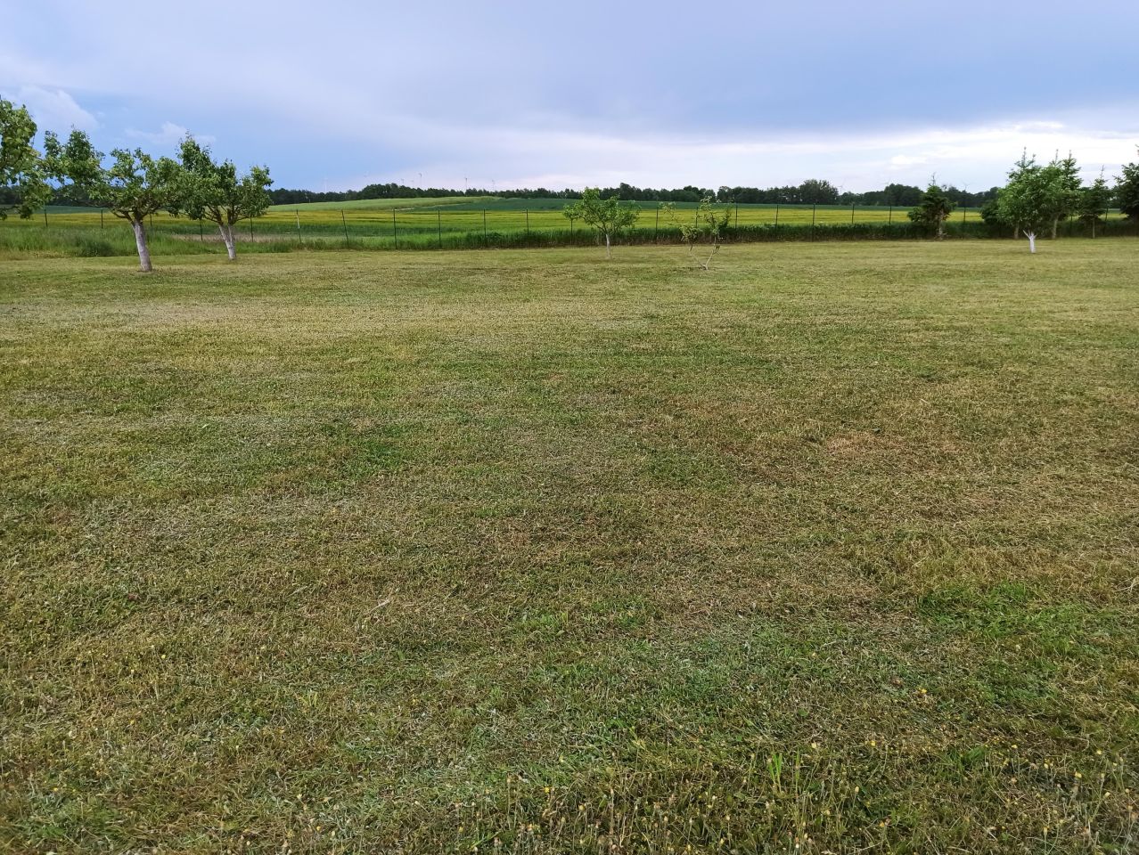 Działka rolna Czarnowo. Zdjęcie 2