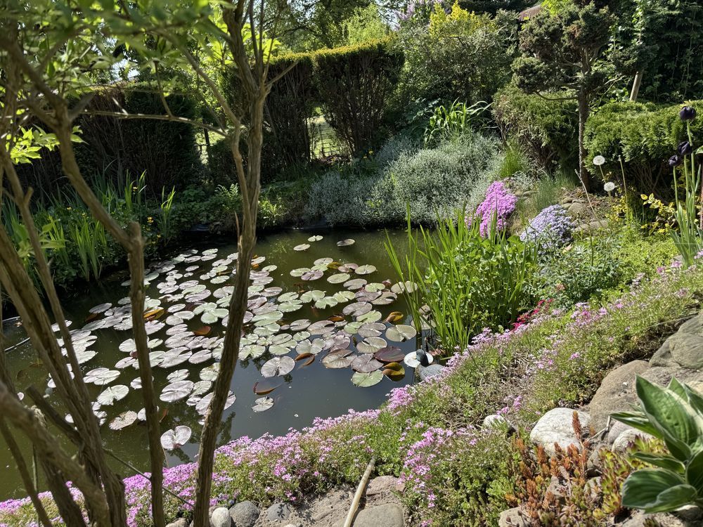 Działka rod Gliwice Ostropa, ul. Ku Dołom. Zdjęcie 7