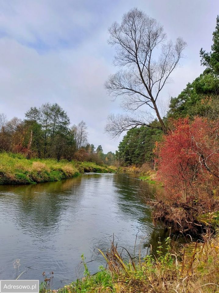 Działka rekreacyjna Zakrzówek Szlachecki. Zdjęcie 5