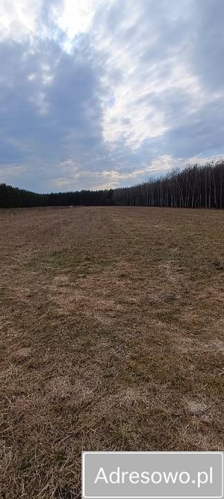 Działka rolna Pobiedna. Zdjęcie 4