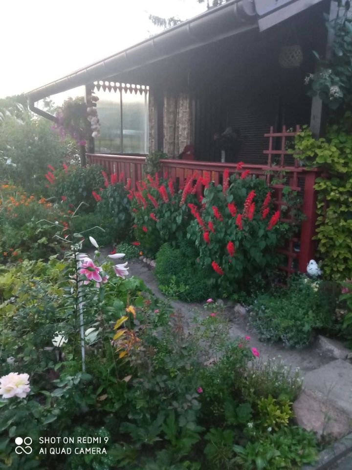 Działka rod Skierniewice. Zdjęcie 4