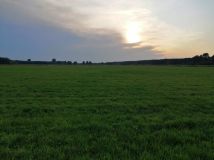 Działka rolna Wola Kuczkowska. Zdjęcie 2