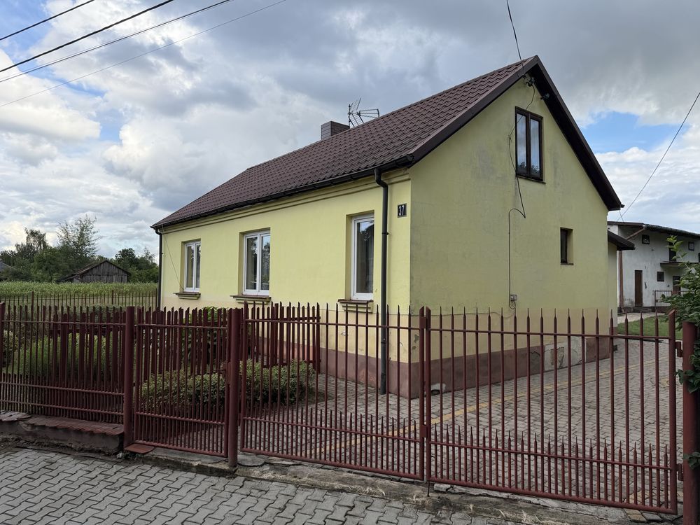 gospodarstwo Babilon. Zdjęcie 4