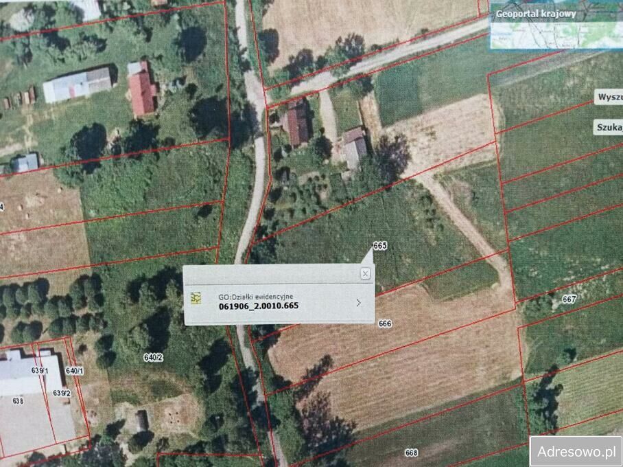 Działka rolna Stawki. Zdjęcie 12