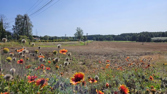 Działka budowlana Wielka Nieszawka, ul. Toruńska. Zdjęcie 1