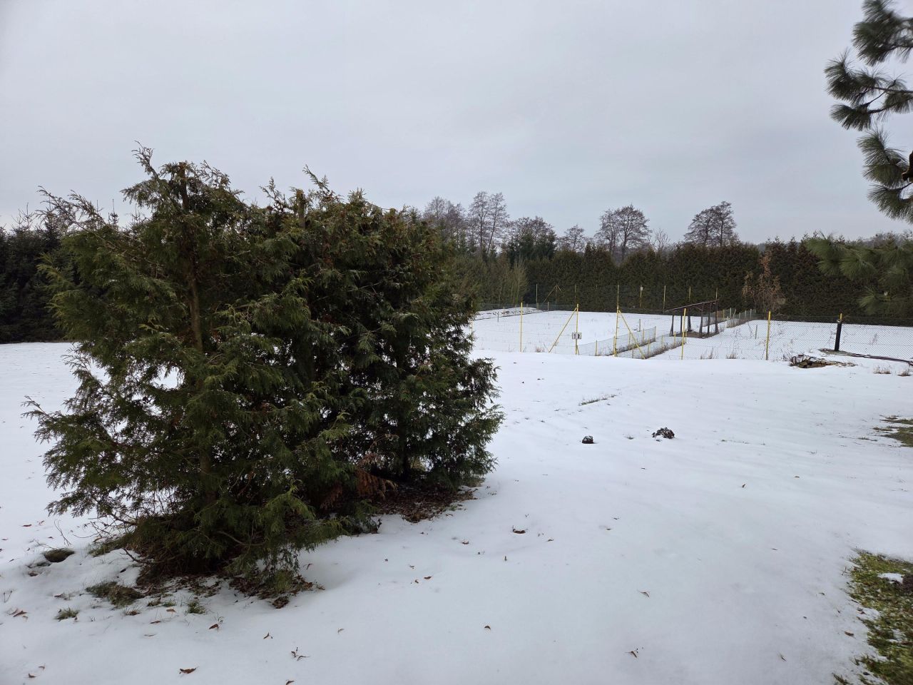 dom wolnostojący, 7 pokoi Strączno. Zdjęcie 97