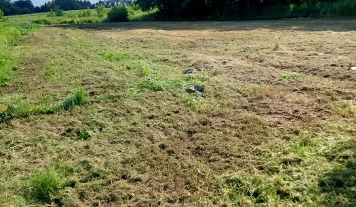 Działka budowlana Targowisko