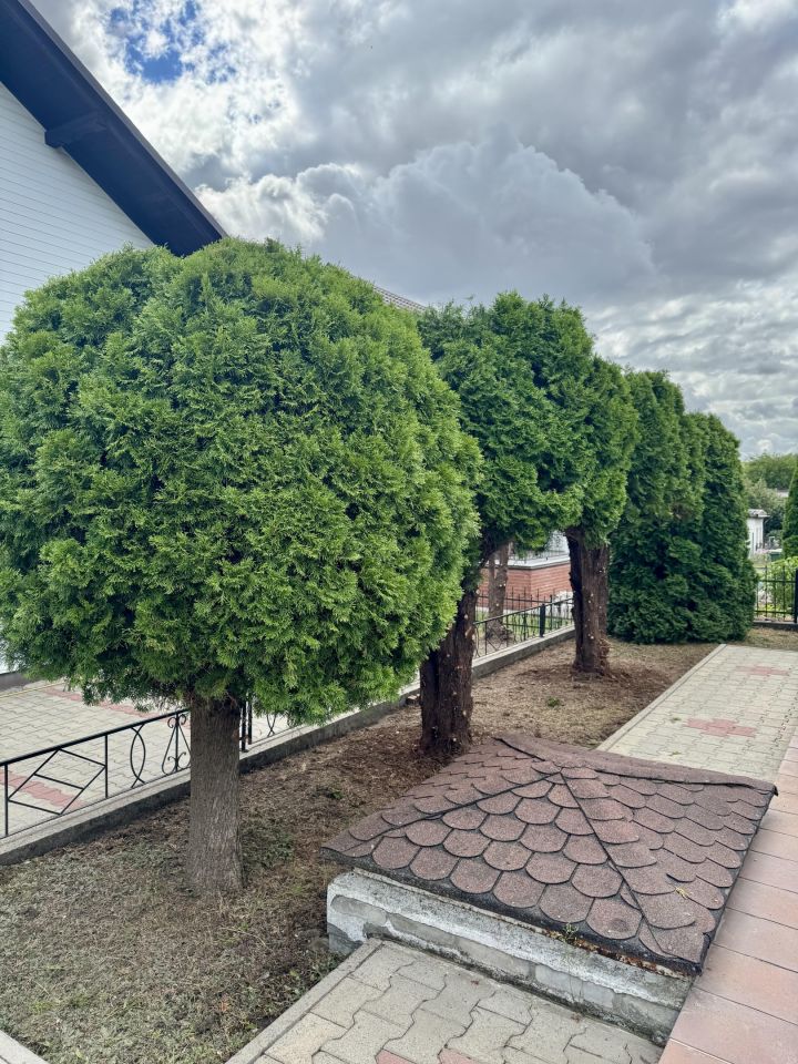 dom wolnostojący, 4 pokoje Kurzętnik Kurzętnik Dolny, ul. Świerkowa. Zdjęcie 11