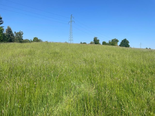 Działka rolna Żerdziny. Zdjęcie 3