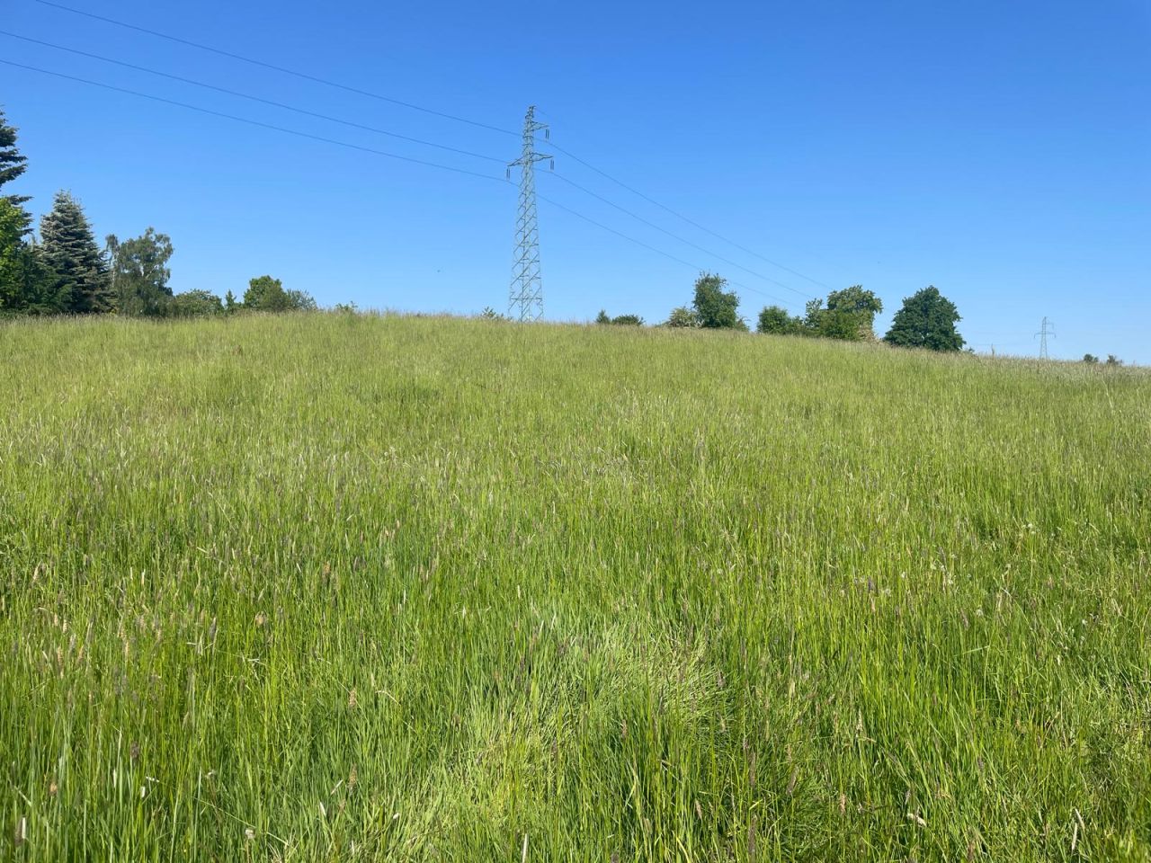 Działka rolna Żerdziny. Zdjęcie 3