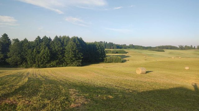 Działka rolno-budowlana Włodowo. Zdjęcie 1