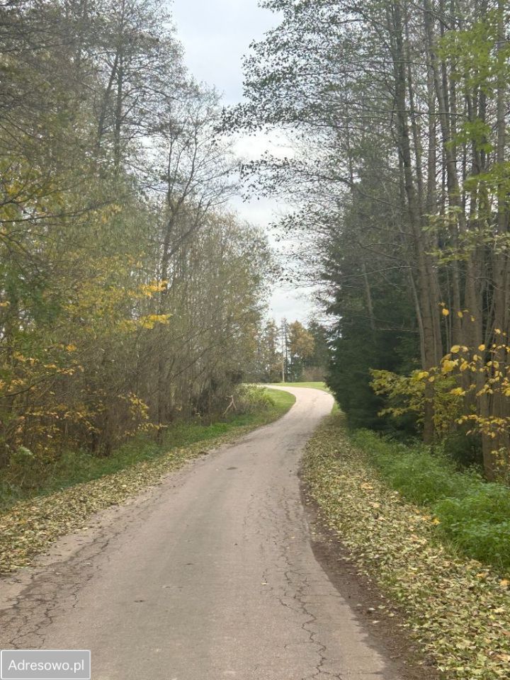 gospodarstwo, 6 pokoi Grądy-Możdżenie. Zdjęcie 17