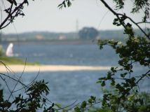 Działka rekreacyjna Rzeczyce. Zdjęcie 4