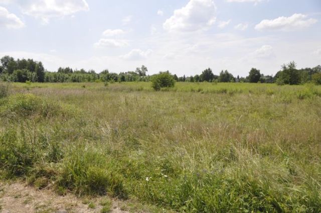 Działka budowlana Orzesze. Zdjęcie 2