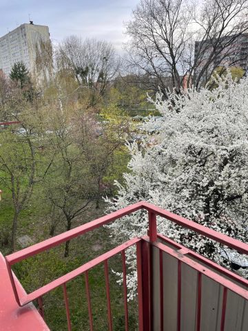 Mieszkanie 4-pokojowe Płock, ul. Eugeniusza Płoskiego. Zdjęcie 15