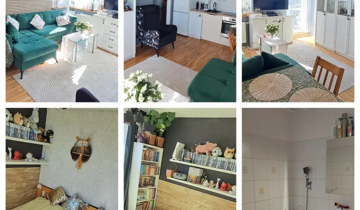 Mieszkanie 2-pokojowe Zieleniewo, ul. Różana