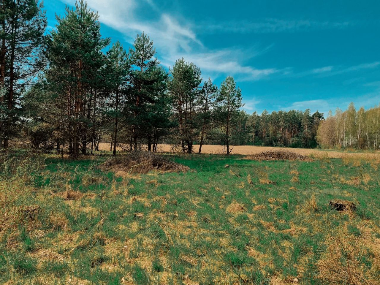 Działka rolno-budowlana Zabłudów, ul. Kolonia. Zdjęcie 2