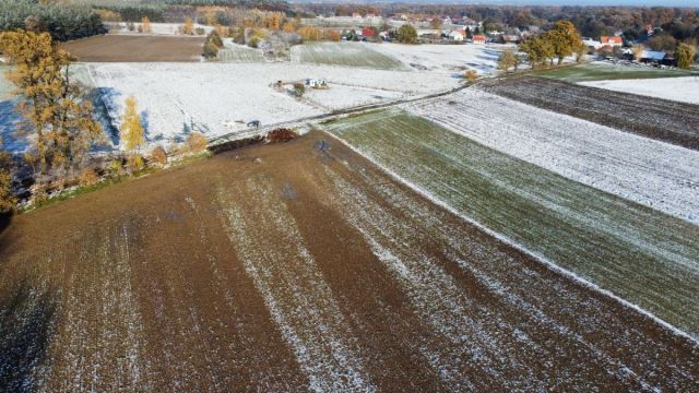 Działka inwestycyjna Prusice. Zdjęcie 10