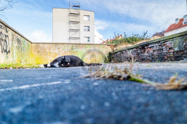 Działka inwestycyjna Trzebiatów. Zdjęcie 5