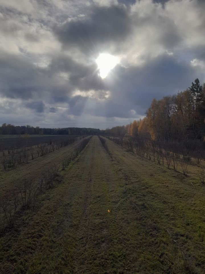 Działka rolna Styrzyniec. Zdjęcie 3