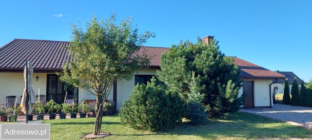 dom wolnostojący, 4 pokoje Borówno. Zdjęcie 1