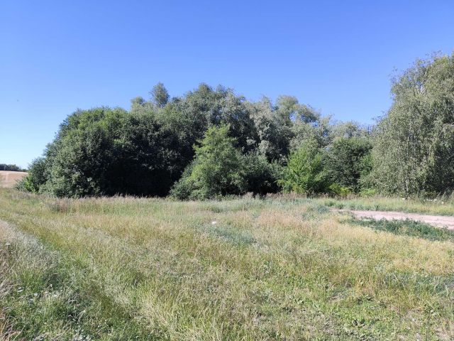 Działka rolna Dzikowo. Zdjęcie 1