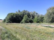 Działka rolna Dzikowo