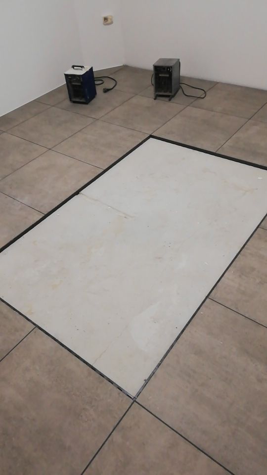 Nieruchomość komercyjna Mirosław. Zdjęcie 10