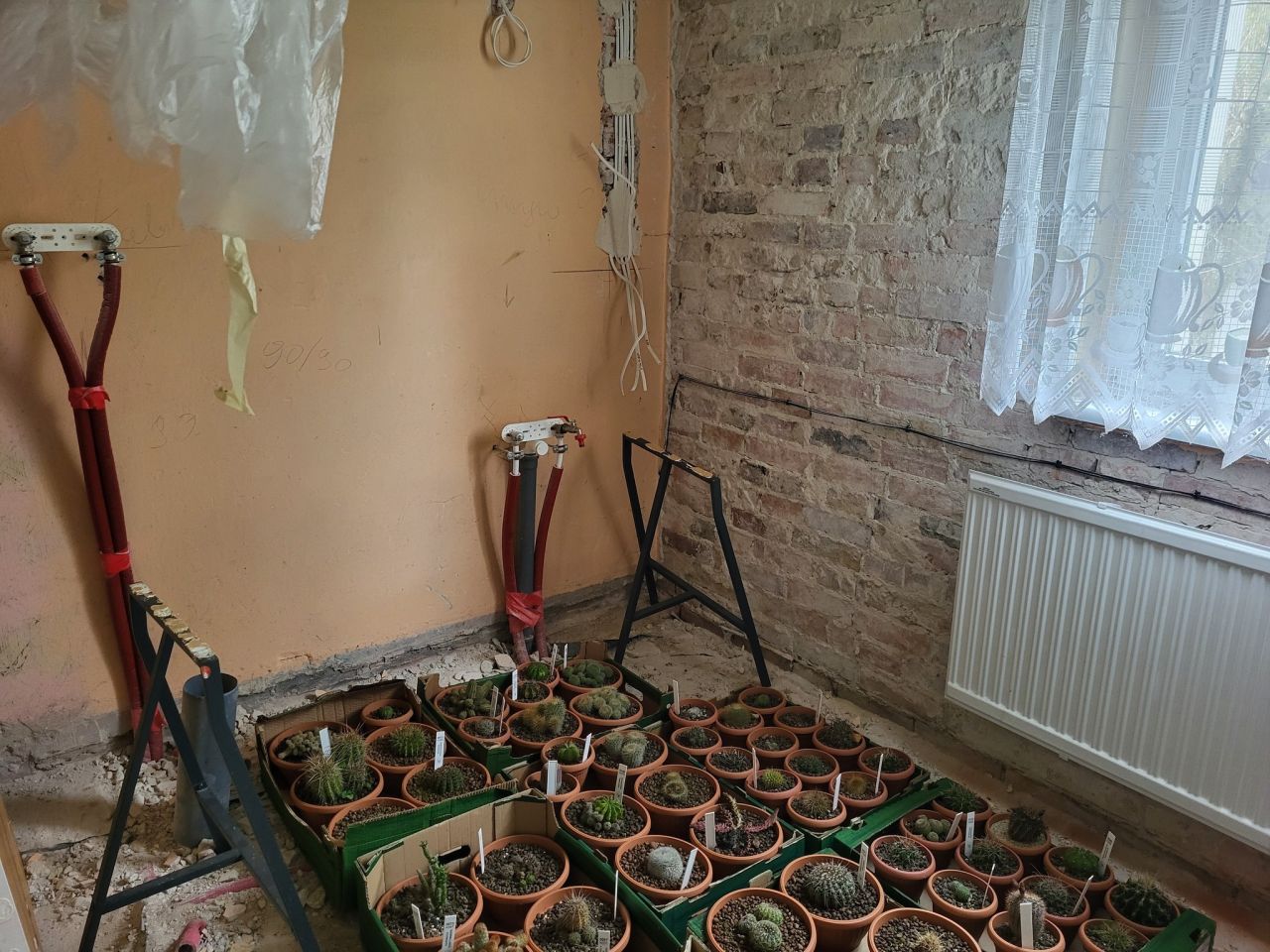 dom wolnostojący, 4 pokoje Wrzosy. Zdjęcie 6