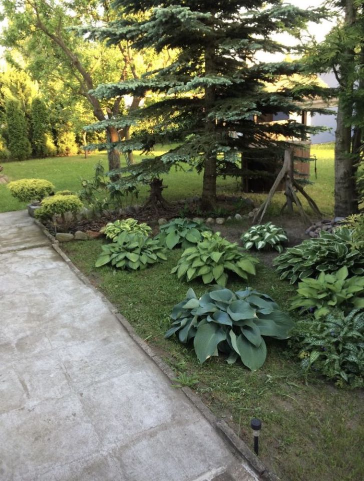 Działka rod Leźnica Wielka. Zdjęcie 5