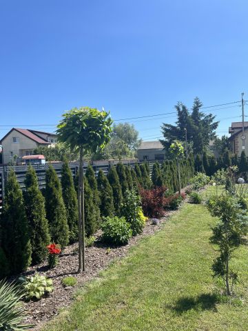 bliźniak, 4 pokoje Łosia Wólka Dobrzyń, ul. Południowa. Zdjęcie 6