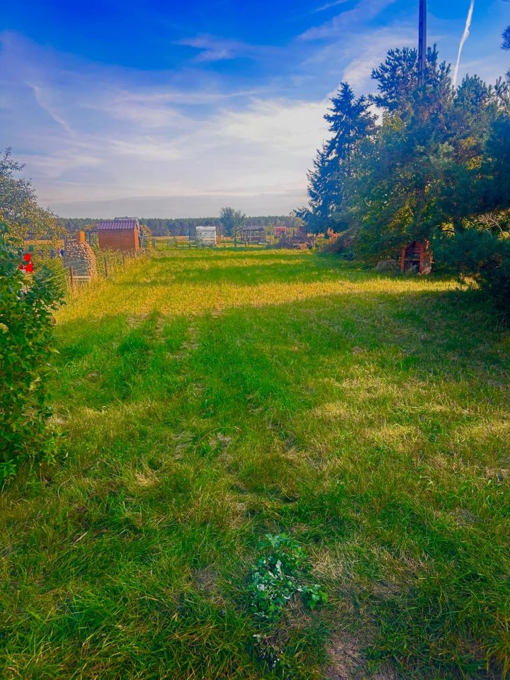Mieszkanie 3-pokojowe Kotla, ul. Głogowska. Zdjęcie 12
