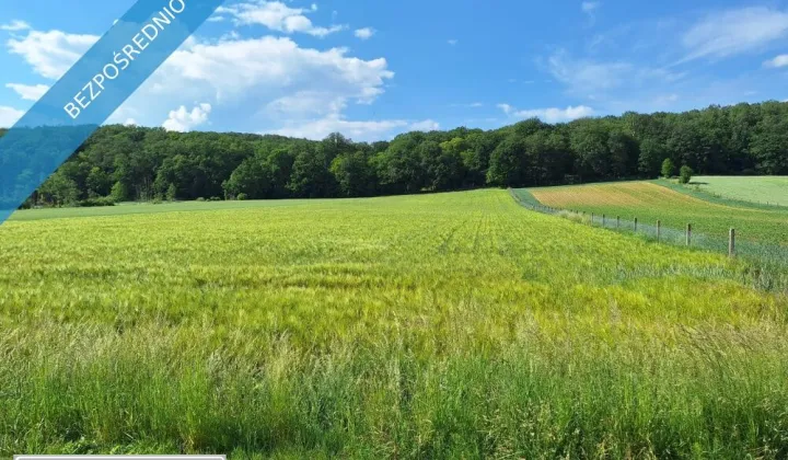 Działka rolno-budowlana Osiek nad Notecią