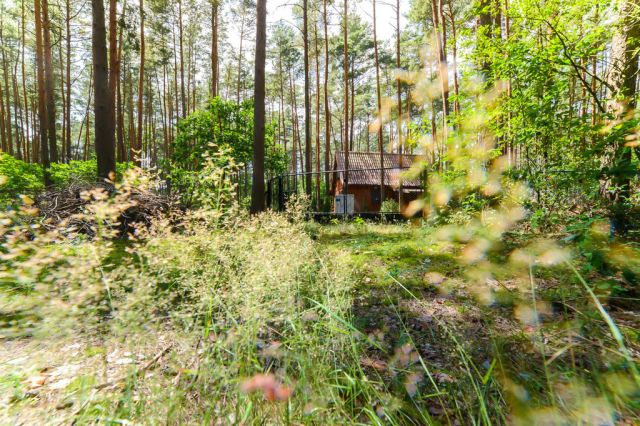 Działka rekreacyjna Poddębie, ul. Radosna. Zdjęcie 11