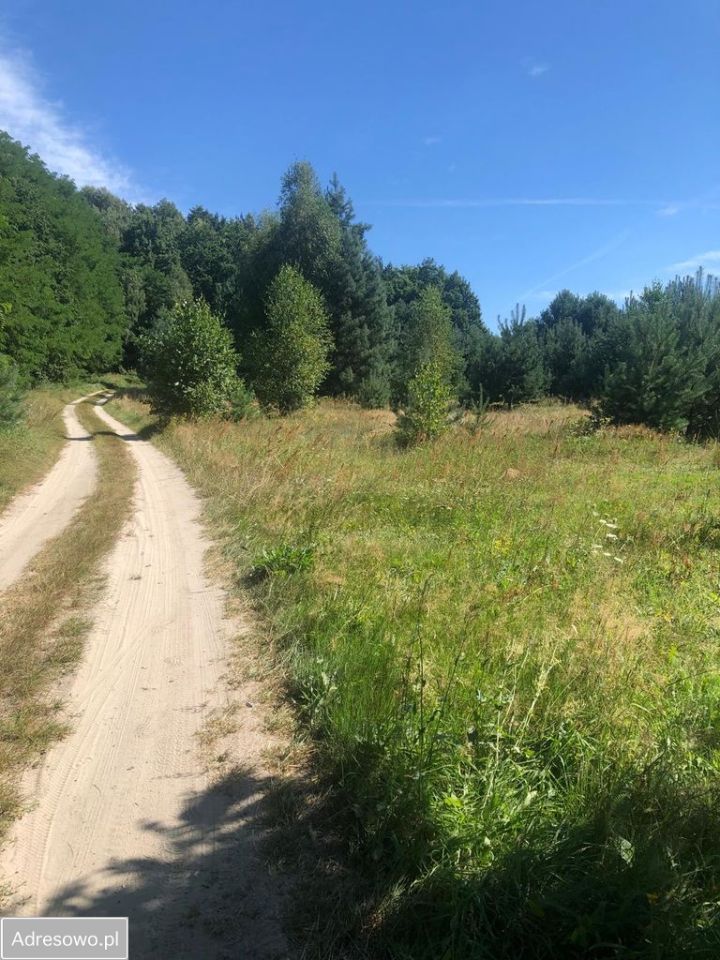 Działka budowlana Drogoszowice. Zdjęcie 7