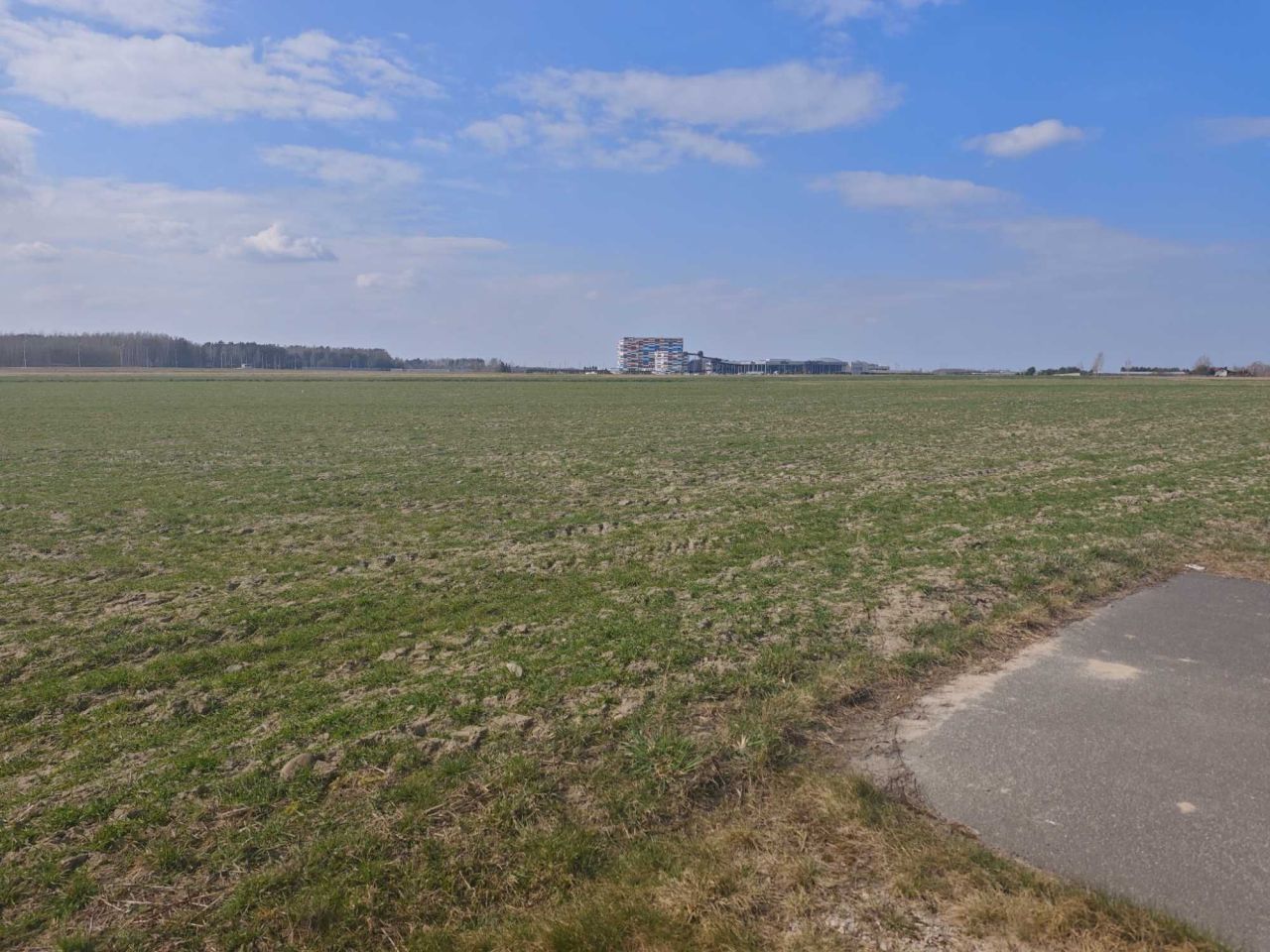 Działka inwestycyjna Wręcza. Zdjęcie 1