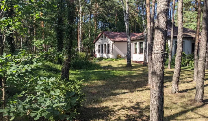 dom wolnostojący, 5 pokoi Józefów Kolonia Błota, ul. Graniczna