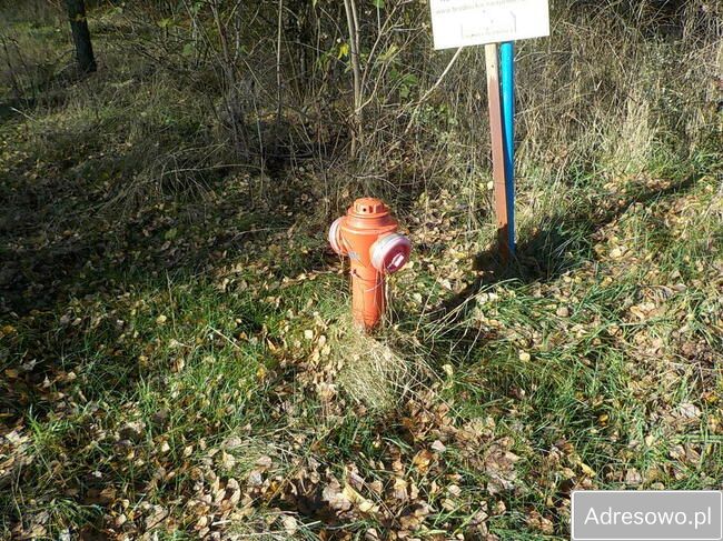 Działka Ludowice. Zdjęcie 11