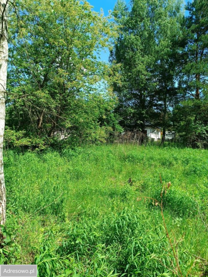 Działka budowlana Ostrowiec Świętokrzyski, ul. Wiklinowa. Zdjęcie 3