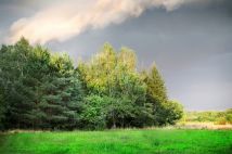 Działka siedliskowa Skuły, ul. Ekologiczna. Zdjęcie 4