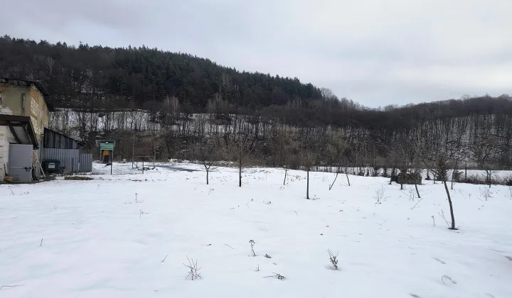 Hala/magazyn Szczawne