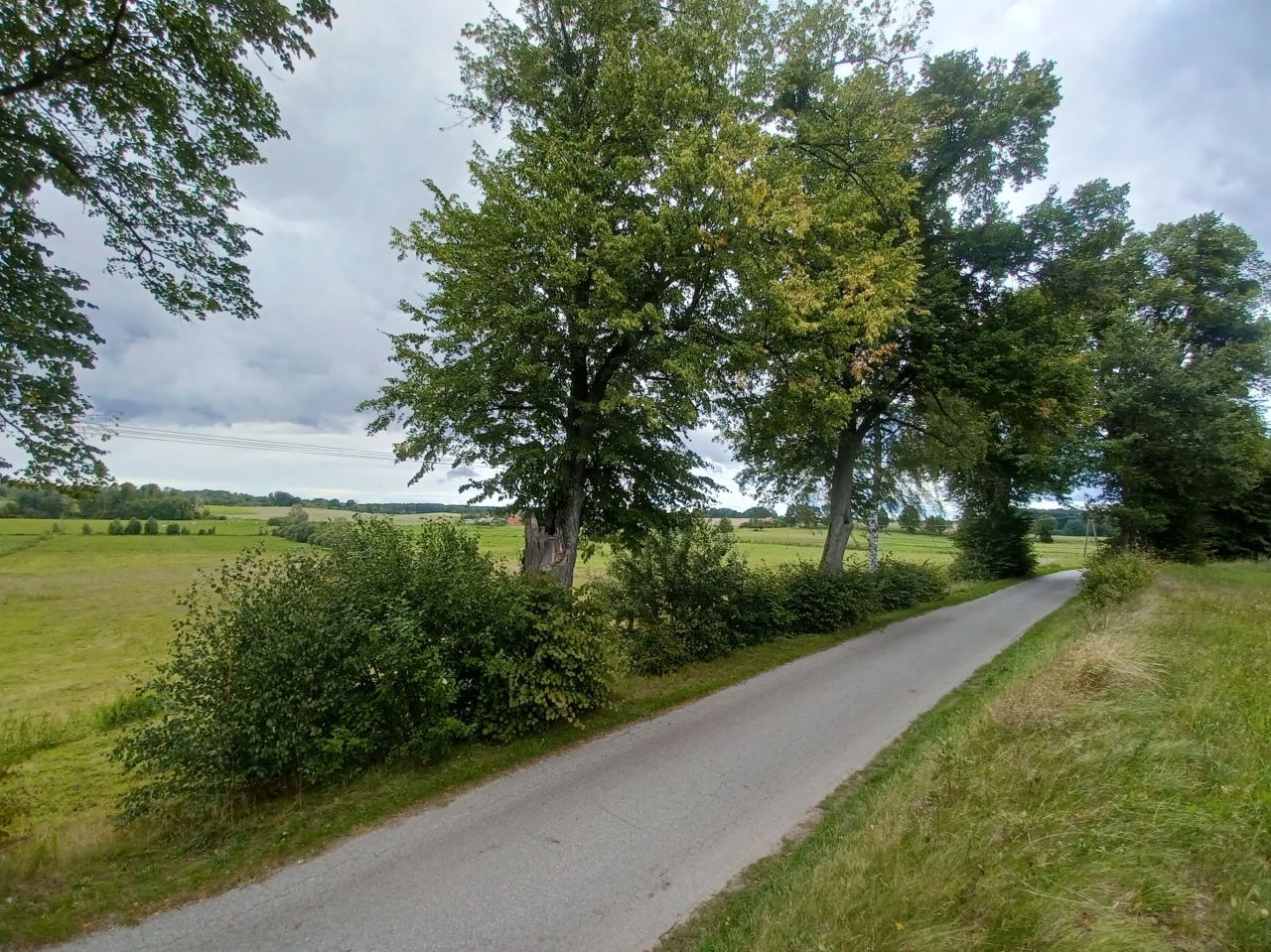 Działka rolna Matule. Zdjęcie 9