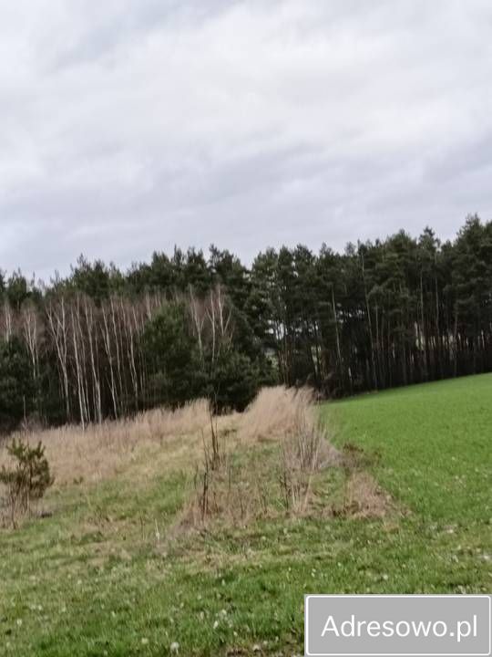 Działka Łowinia. Zdjęcie 9