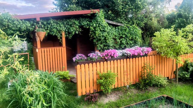 Działka rekreacyjna Łomża, ul. Grobla Jednaczewska. Zdjęcie 1