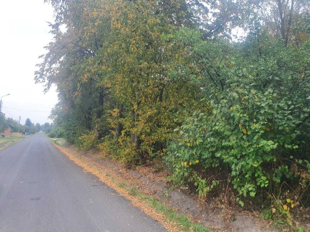 Działka rolno-budowlana Młodocin Mniejszy. Zdjęcie 1