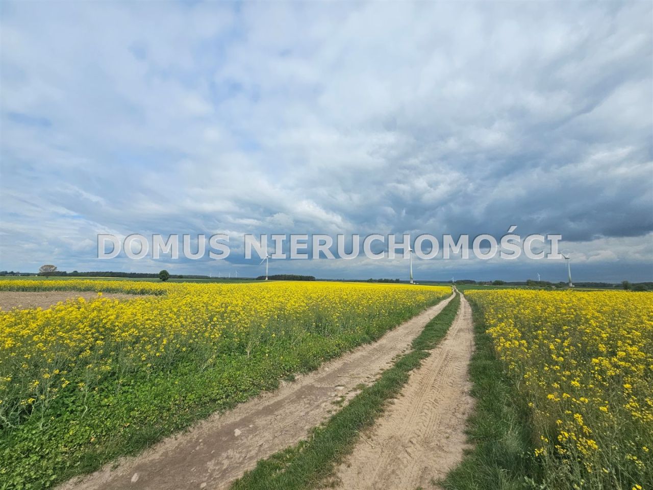 Działka rolna Stefanów. Zdjęcie 7