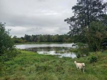 Działka rekreacyjna Dzbądz, Brak nazwy ulicy. Zdjęcie 4