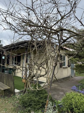 Działka rekreacyjna Poznań Smochowice, ul. Wichrowa. Zdjęcie 1