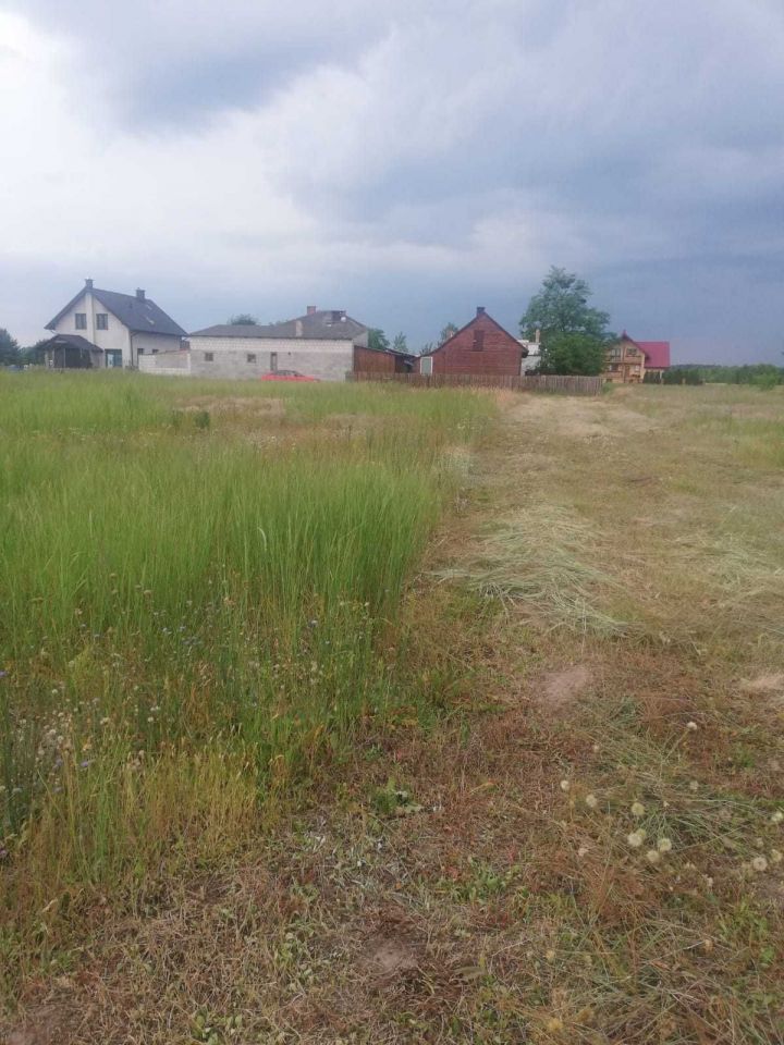 Działka rolno-budowlana Regów Nowy. Zdjęcie 2